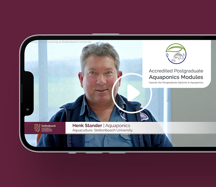 Stellenbosch Course Video